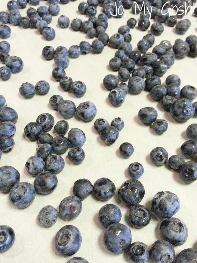 Save money and time by using this fool-proof, healthy way to dry blueberries... no extra equipment needed.