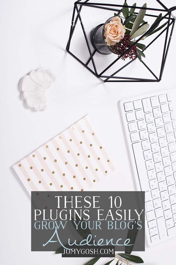 Plugin tips for efficiency for blogging professionally, from a successful blogger